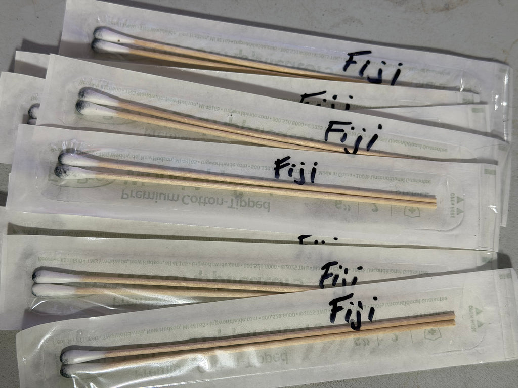Fiji Cubensis