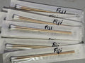Fiji Cubensis