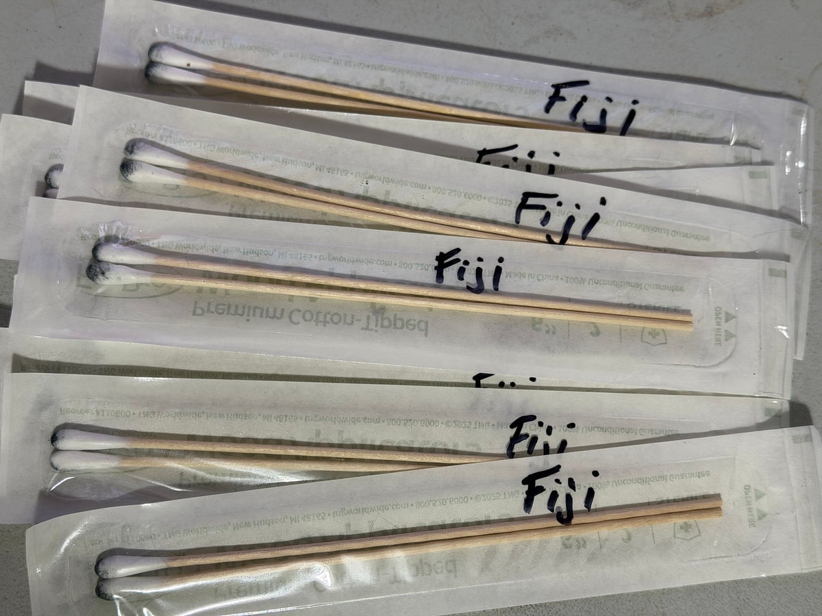 Fiji Cubensis