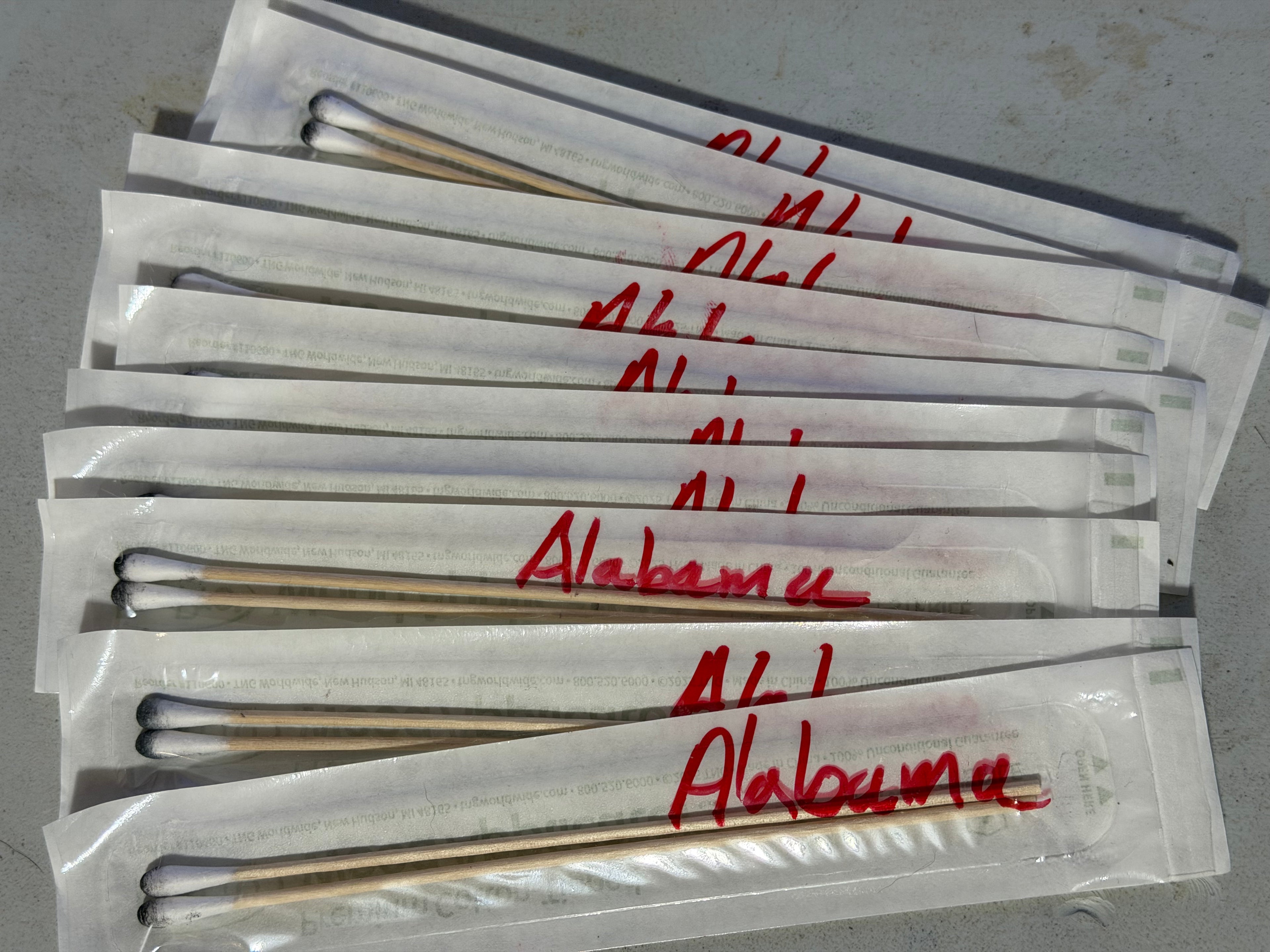Alabama Spore swab